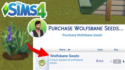 the sims 4 wolfsbane|The Sims 4 Wolfsbane explained, how to get & use it.